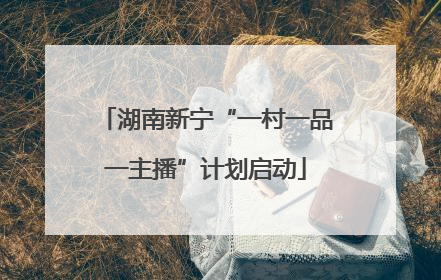 湖南新宁“一村一品一主播”计划启动