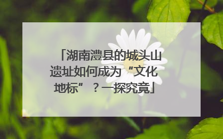 湖南澧县的城头山遗址如何成为“文化地标”？一探究竟