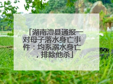 湖南澧县通报一对母子落水身亡事件：均系溺水身亡，排除他杀