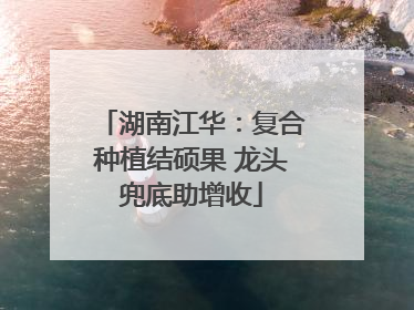 湖南江华：复合种植结硕果 龙头兜底助增收
