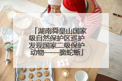 湖南舜皇山国家级自然保护区巡护发现国家二级保护动物——脆蛇蜥