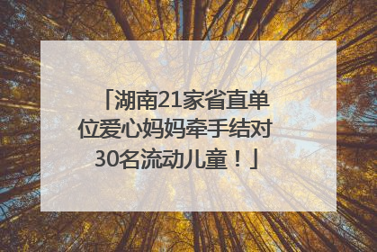 湖南21家省直单位爱心妈妈牵手结对30名流动儿童！