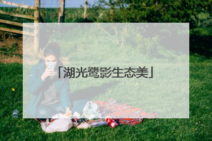 湖光鹭影生态美
