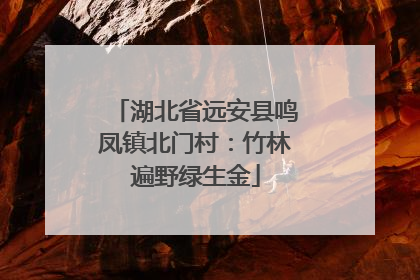 湖北省远安县鸣凤镇北门村：竹林遍野绿生金