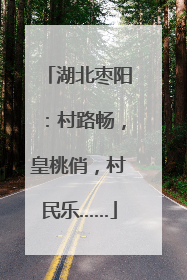湖北枣阳：村路畅，皇桃俏，村民乐……