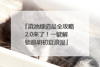 滇池绿道最全攻略2.0来了！一键解锁昆明初夏浪漫