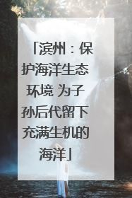 滨州：保护海洋生态环境 为子孙后代留下充满生机的海洋