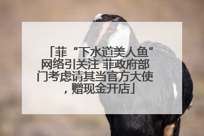 菲“下水道美人鱼”网络引关注 菲政府部门考虑请其当官方大使，赠现金开店