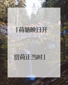 荷塘映日开 赏荷正当时