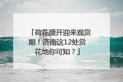 荷花盛开迎来观赏期！济南这12处赏花地你可知？