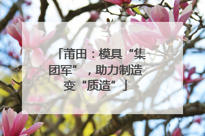莆田：模具“集团军”，助力制造变“质造”