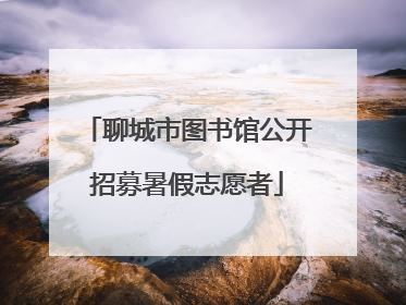聊城市图书馆公开招募暑假志愿者