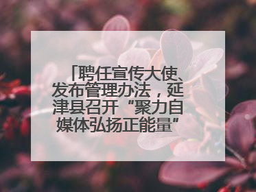 聘任宣传大使、发布管理办法，延津县召开“聚力自媒体弘扬正能量”联席会