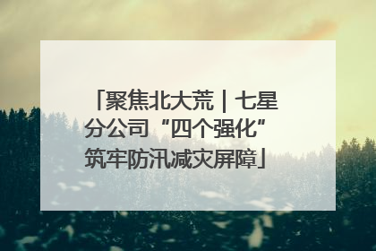 聚焦北大荒｜七星分公司“四个强化”筑牢防汛减灾屏障