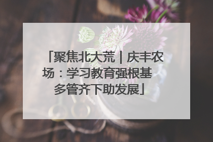 聚焦北大荒｜庆丰农场：学习教育强根基 多管齐下助发展