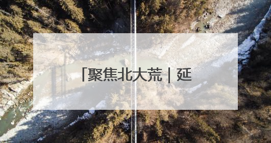 聚焦北大荒｜延军农场：特色种植带旺多元业态 土地焕发新活力