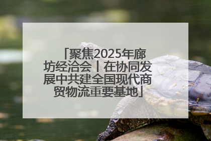 聚焦2025年廊坊经洽会丨在协同发展中共建全国现代商贸物流重要基地