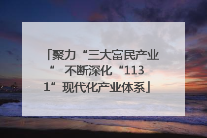 聚力“三大富民产业” 不断深化“1131”现代化产业体系