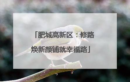 肥城高新区：修路焕新颜铺就幸福路