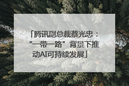 腾讯副总裁蔡光忠：“一带一路”背景下推动AI可持续发展
