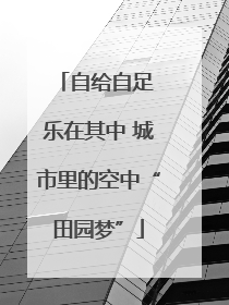 自给自足 乐在其中 城市里的空中“田园梦”
