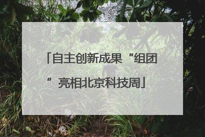 自主创新成果“组团”亮相北京科技周