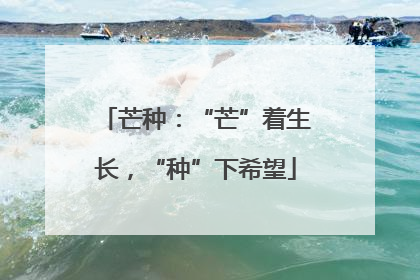 芒种：“芒”着生长，“种”下希望