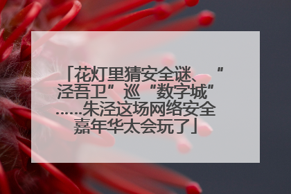 花灯里猜安全谜、“泾吾卫”巡“数字城”……朱泾这场网络安全嘉年华太会玩了