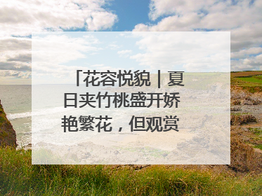 花容悦貌｜夏日夹竹桃盛开娇艳繁花，但观赏时“碰不得”