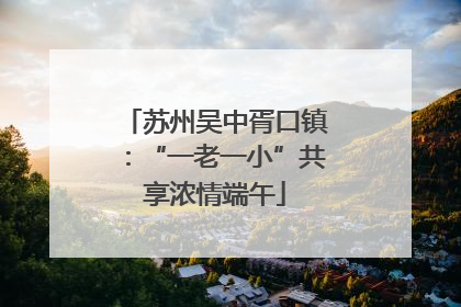 苏州吴中胥口镇：“一老一小”共享浓情端午