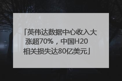 英伟达数据中心收入大涨超70%，中国H20相关损失达80亿美元