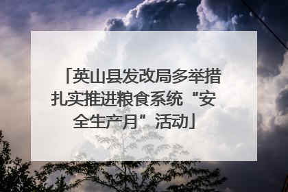 英山县发改局多举措扎实推进粮食系统“安全生产月”活动