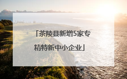茶陵县新增5家专精特新中小企业