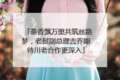 茶香飘万里共筑丝路梦，老挝副总理吉乔期待川老合作更深入