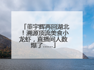 董宇辉再回湖北！溯源顶流美食小龙虾，直播间人数爆了……