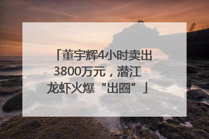 董宇辉4小时卖出3800万元，潜江龙虾火爆“出圈”