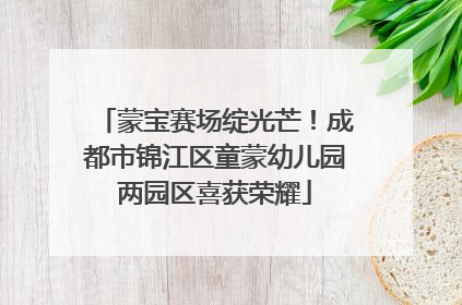 蒙宝赛场绽光芒！成都市锦江区童蒙幼儿园两园区喜获荣耀