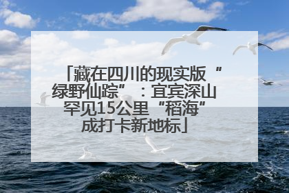 藏在四川的现实版“绿野仙踪”：宜宾深山罕见15公里“稻海”成打卡新地标