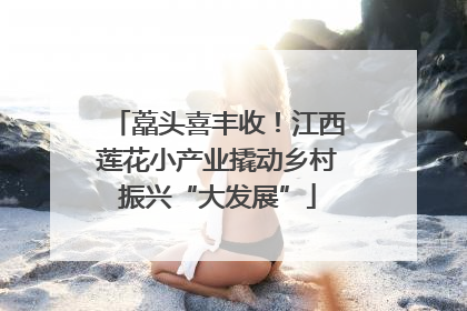 藠头喜丰收！江西莲花小产业撬动乡村振兴“大发展”