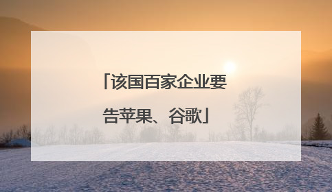 该国百家企业要告苹果、谷歌
