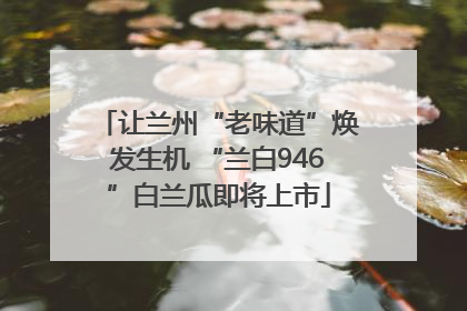 让兰州“老味道”焕发生机 “兰白946”白兰瓜即将上市