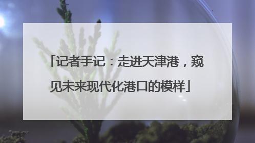 记者手记：走进天津港，窥见未来现代化港口的模样