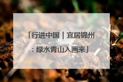 行进中国｜宜居锦州：绿水青山入画来