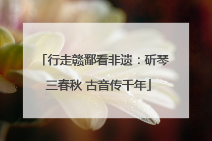 行走赣鄱看非遗：斫琴三春秋 古音传千年