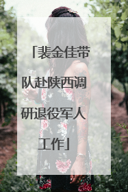 裴金佳带队赴陕西调研退役军人工作