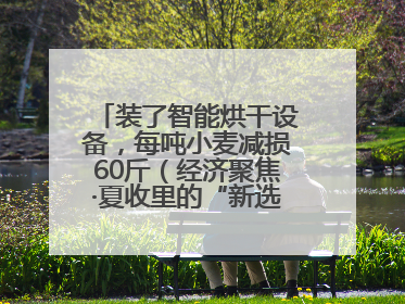 装了智能烘干设备，每吨小麦减损60斤（经济聚焦·夏收里的“新选手”）