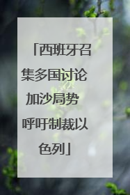 西班牙召集多国讨论加沙局势 呼吁制裁以色列