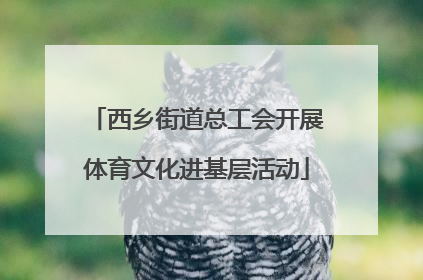 西乡街道总工会开展体育文化进基层活动