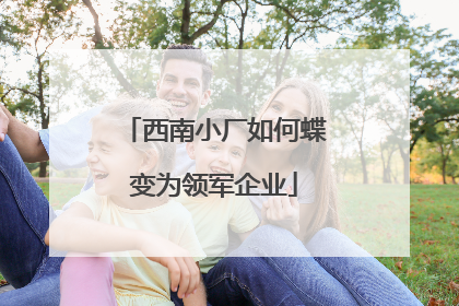 西南小厂如何蝶变为领军企业