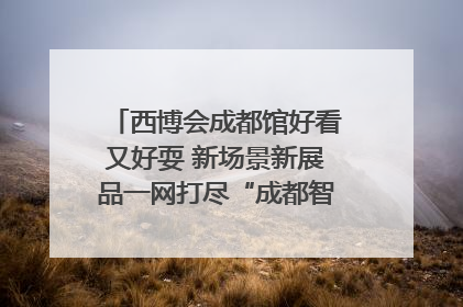西博会成都馆好看又好耍 新场景新展品一网打尽“成都智造”｜西博视界